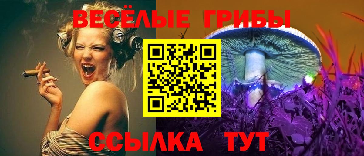 Галлюциногенные грибы GOLDEN TEACHER Сланцы